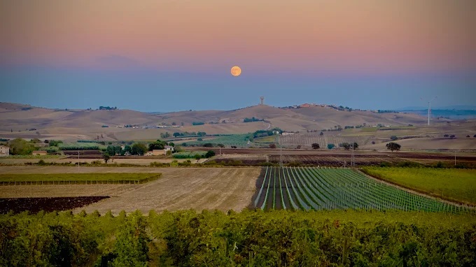 Molise