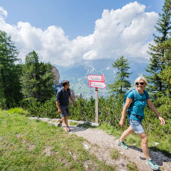 Monte Specie